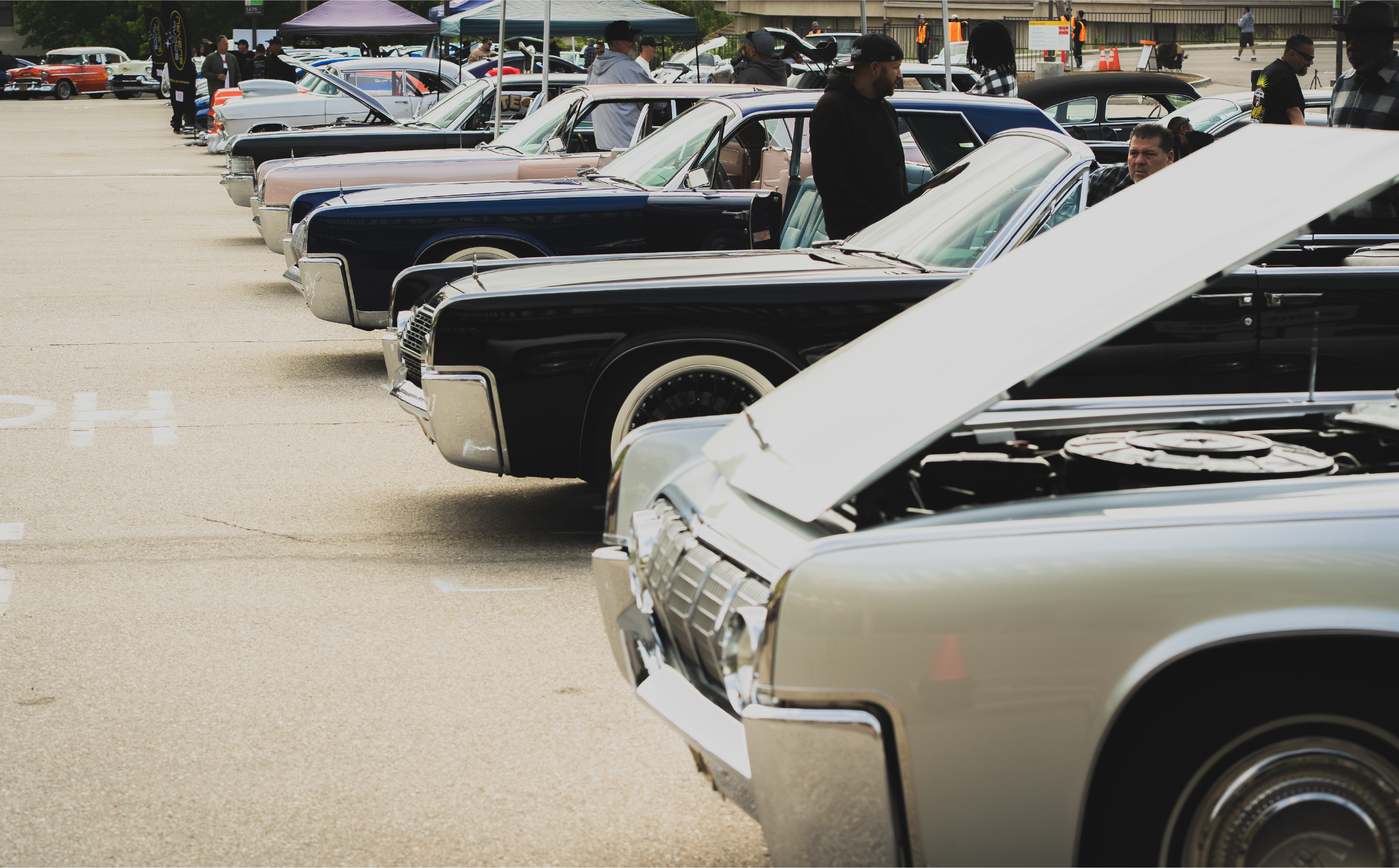 Classic cars lined up at the Car Show